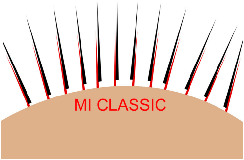 Nối mi là gì? Mi Classic 01/2022 1 image