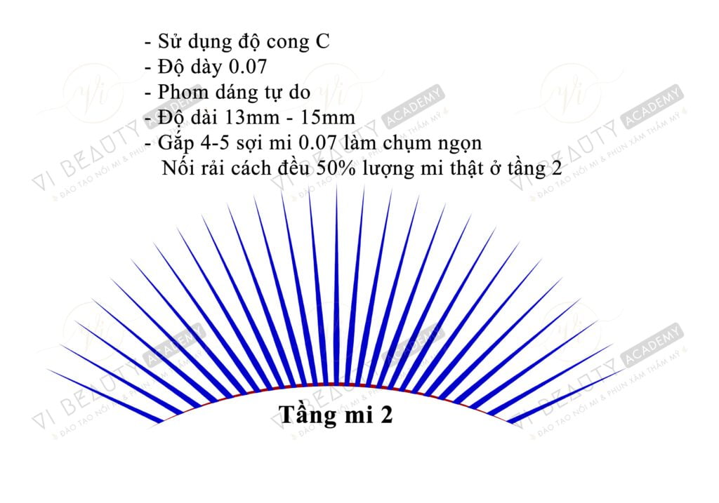 Công thức mi thiết kế Vi Beauty Academy