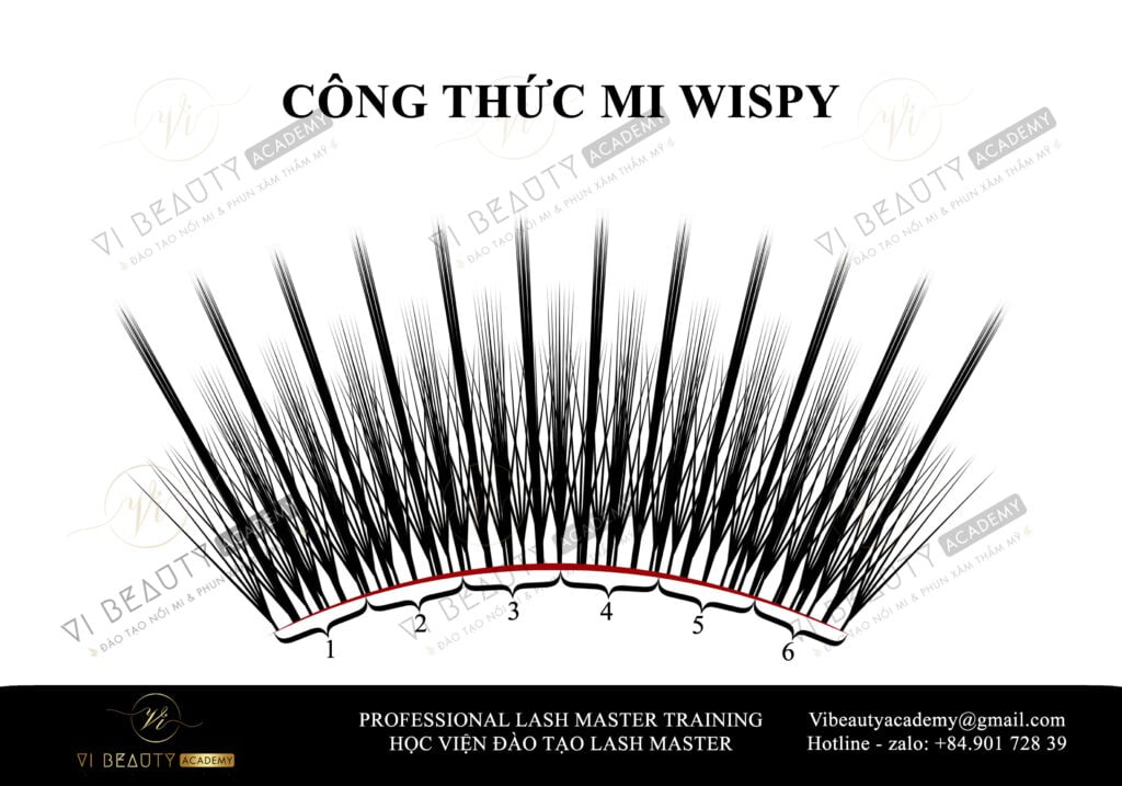 Công thức mi thiết kế Vi Beauty Academy