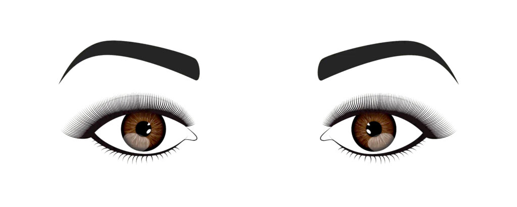 wide set eye 2048x819 1