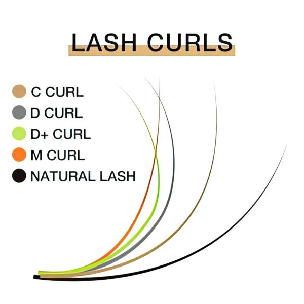 Lash Curl